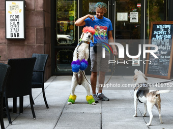 A man plays with a dog in Washington, DC in the United States of America on July 9th, 2024. (