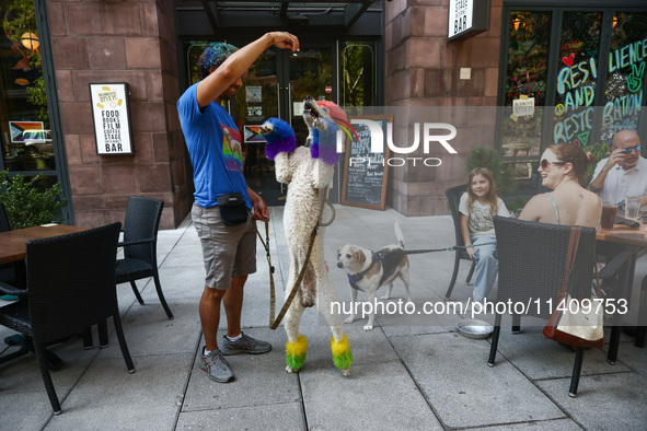 A man plays with a dog in Washington, DC in the United States of America on July 9th, 2024. 