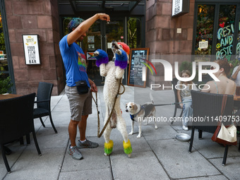 A man plays with a dog in Washington, DC in the United States of America on July 9th, 2024. (