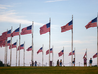 American flags by Washington Monument in Washington, DC in the United States of America on July 9th, 2024. (