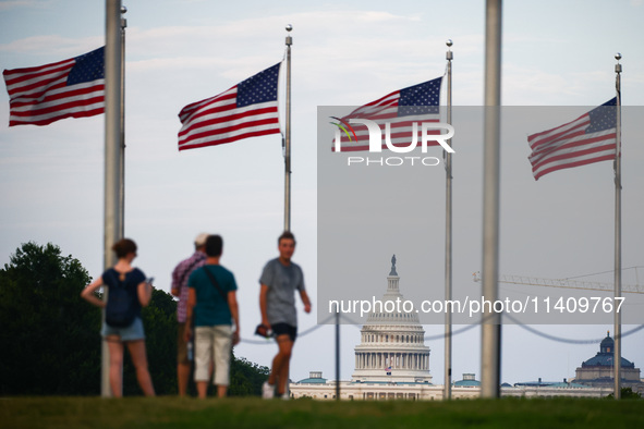 American flags by Washington Monument in Washington, DC in the United States of America on July 9th, 2024. 