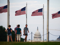 American flags by Washington Monument in Washington, DC in the United States of America on July 9th, 2024. (