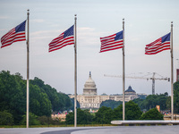 A view on the U.S. Capitol building and American flags by Washington Monument in Washington, DC in the United States of America on July 9th,...