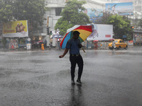 A civic volunteer is standing on a road crossing during heavy monsoon rain in Kolkata, India, on July 15, 2024. (