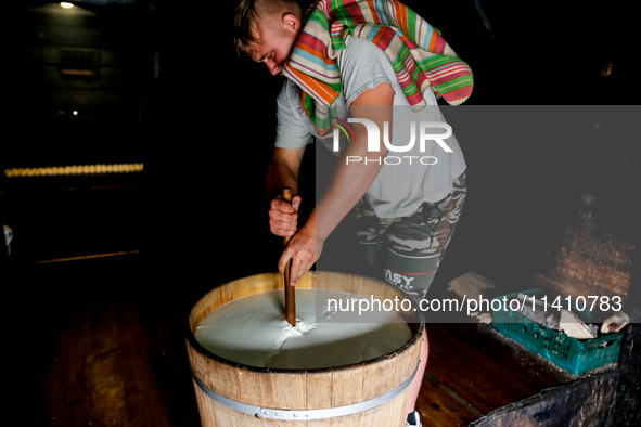 Piotr, son of Baca Krzysztof Las (a traditional Polish Carpathian mountains shepherd) prepares sheep milk to make cheese in Traditional wood...