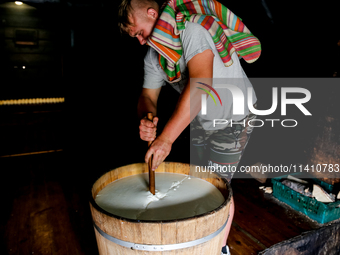 Piotr, son of Baca Krzysztof Las (a traditional Polish Carpathian mountains shepherd) prepares sheep milk to make cheese in Traditional wood...