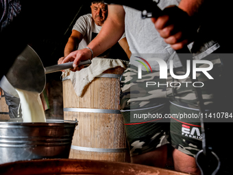 Baca Krzysztof Las (a traditional Polish Carpathian mountains shepherd) and his son prepares sheep milk to make cheese in Traditional wooden...