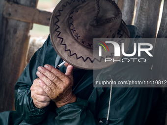 Wojtek, Juhas (a traditional Polish Carpathian mountains shepherd) smokes a cigarette as he milks sheep at sunrise in Bialka (about 1200m ab...