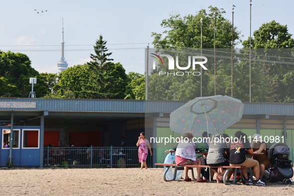 People are picnicking on Centre Island in Toronto, Ontario, Canada, on July 13, 2024. 