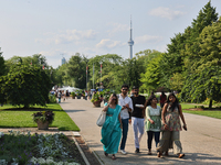 The CN Tower is appearing above the treetops from Centre Island in Toronto, Ontario, Canada, on July 13, 2024. (