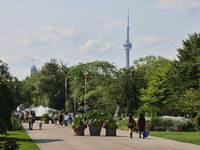 The CN Tower is appearing above the treetops from Centre Island in Toronto, Ontario, Canada, on July 13, 2024. (