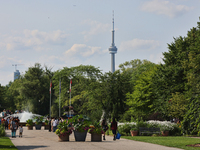 The CN Tower is appearing above the treetops from Centre Island in Toronto, Ontario, Canada, on July 13, 2024. (