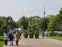 The CN Tower is appearing above the treetops from Centre Island in Toronto, Ontario, Canada, on July 13, 2024. (