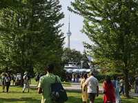 The CN Tower is appearing above the treetops from Centre Island in Toronto, Ontario, Canada, on July 13, 2024. (