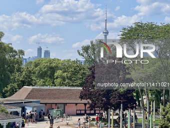 The CN Tower is appearing above the treetops from Centre Island in Toronto, Ontario, Canada, on July 13, 2024. (