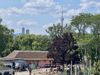 The CN Tower is appearing above the treetops from Centre Island in Toronto, Ontario, Canada, on July 13, 2024. (