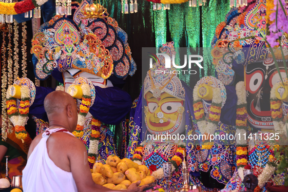 A Hindu priest is placing offerings by the idols of Goddesses Subhadra, Balabhadra, and Lord Jagannath during the annual Rath Yatra festival...