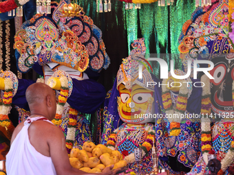 A Hindu priest is placing offerings by the idols of Goddesses Subhadra, Balabhadra, and Lord Jagannath during the annual Rath Yatra festival...