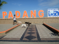 A man is walking his dogs near the Padang beach in West Sumatra, Indonesia, on July 15, 2024. (