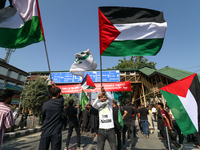 Kashmiri Shia Muslims are displaying Palestinian flags during a procession on the 8th of Muharram in Srinagar, Indian Administered Kashmir,...