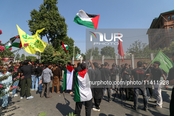 Kashmiri Shia Muslims are displaying Palestinian flags during a procession on the 8th of Muharram in Srinagar, Indian Administered Kashmir,...