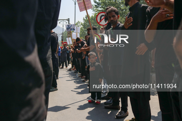 Kashmiri Shia Muslims are taking part in a Muharram procession on the 8th of Muharram in Srinagar, Indian Administered Kashmir, on July 15,...