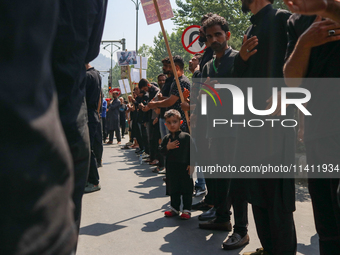 Kashmiri Shia Muslims are taking part in a Muharram procession on the 8th of Muharram in Srinagar, Indian Administered Kashmir, on July 15,...