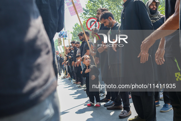 Kashmiri Shia Muslims are taking part in a Muharram procession on the 8th of Muharram in Srinagar, Indian Administered Kashmir, on July 15,...