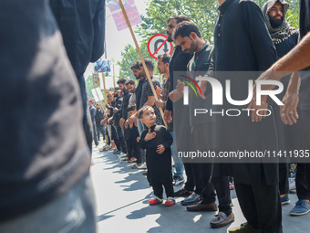 Kashmiri Shia Muslims are taking part in a Muharram procession on the 8th of Muharram in Srinagar, Indian Administered Kashmir, on July 15,...