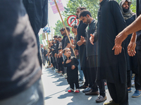 Kashmiri Shia Muslims are taking part in a Muharram procession on the 8th of Muharram in Srinagar, Indian Administered Kashmir, on July 15,...