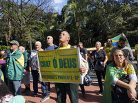 Movements against the PT are holding a protest today on Avenida Paulista, in the central region of Sao Paulo. During the event, a doll of fo...