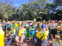 Movements against the PT are holding a protest today on Avenida Paulista, in the central region of Sao Paulo. During the event, a doll of fo...