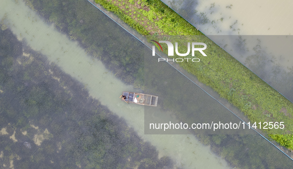 A crab farmer is performing daily management tasks such as increasing oxygen, fetching water, and feeding at a hairy crab ecological breedin...