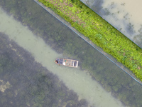 A crab farmer is performing daily management tasks such as increasing oxygen, fetching water, and feeding at a hairy crab ecological breedin...