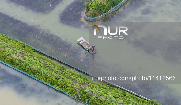 A crab farmer is performing daily management tasks such as increasing oxygen, fetching water, and feeding at a hairy crab ecological breedin...