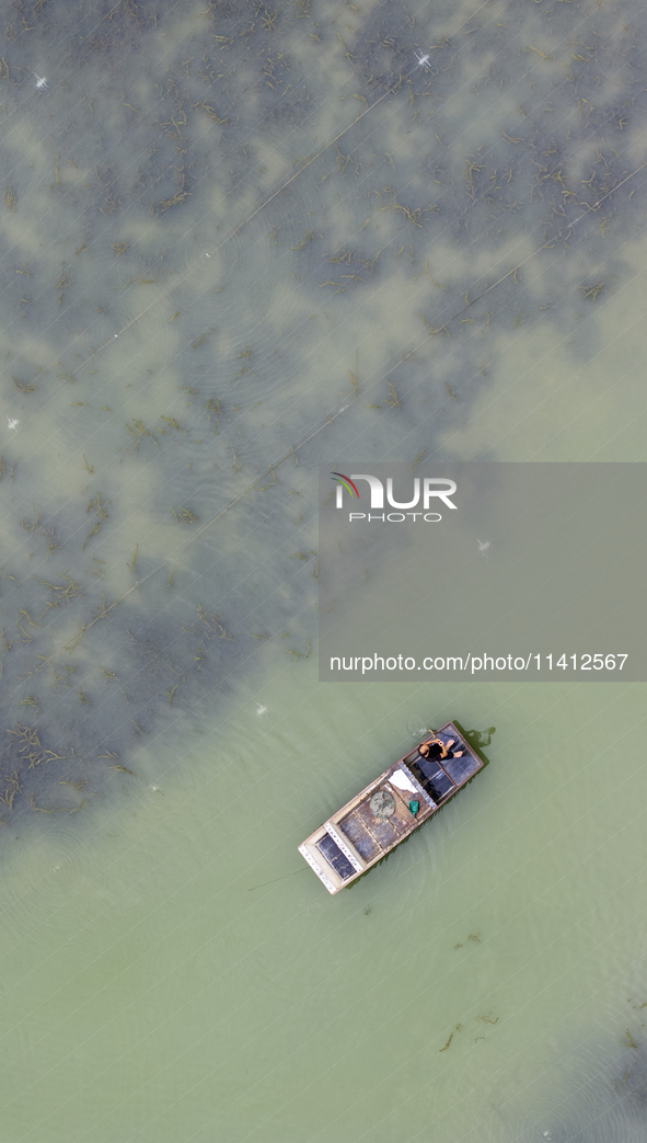 A crab farmer is performing daily management tasks such as increasing oxygen, fetching water, and feeding at a hairy crab ecological breedin...