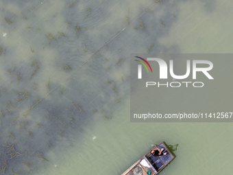 A crab farmer is performing daily management tasks such as increasing oxygen, fetching water, and feeding at a hairy crab ecological breedin...