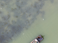 A crab farmer is performing daily management tasks such as increasing oxygen, fetching water, and feeding at a hairy crab ecological breedin...