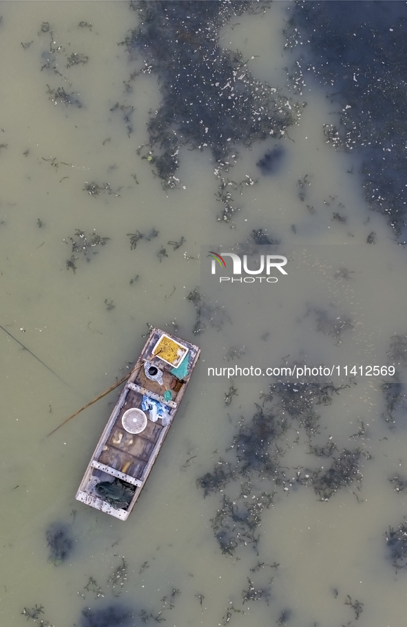 A crab farmer is performing daily management tasks such as increasing oxygen, fetching water, and feeding at a hairy crab ecological breedin...