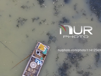 A crab farmer is performing daily management tasks such as increasing oxygen, fetching water, and feeding at a hairy crab ecological breedin...