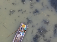 A crab farmer is performing daily management tasks such as increasing oxygen, fetching water, and feeding at a hairy crab ecological breedin...