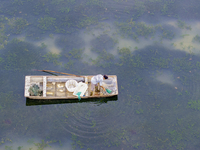 A crab farmer is performing daily management tasks such as increasing oxygen, fetching water, and feeding at a hairy crab ecological breedin...