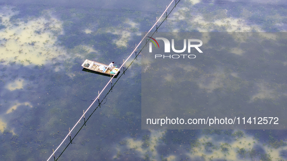 A crab farmer is performing daily management tasks such as increasing oxygen, fetching water, and feeding at a hairy crab ecological breedin...