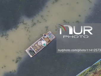 A crab farmer is performing daily management tasks such as increasing oxygen, fetching water, and feeding at a hairy crab ecological breedin...