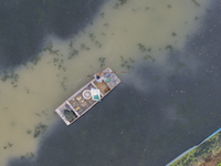 A crab farmer is performing daily management tasks such as increasing oxygen, fetching water, and feeding at a hairy crab ecological breedin...