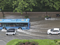 Vehicles are driving through heavy rain in the West Coast New Area of Qingdao, Shandong province, China, on July 16, 2024. (