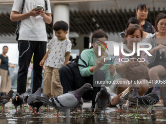 People are looking at pigeons in Hong Kong, on July 16, 2024. (