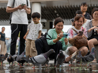 People are looking at pigeons in Hong Kong, on July 16, 2024. (