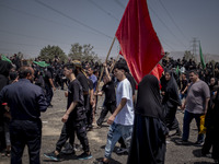 A young Iraqi boy living in Iran is waving a giant religious flag while participating in a religious festival to commemorate Ashura in the D...