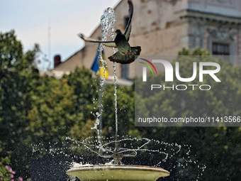 A pigeon is flying past a fountain on a hot summer day in Odesa, Ukraine, on July 13, 2024. NO USE RUSSIA. NO USE BELARUS. (